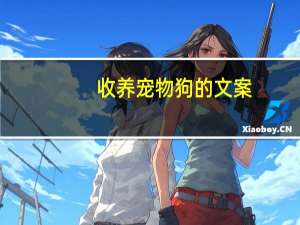 收养宠物狗的文案