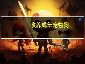 收养成年宠物狗