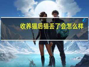 收养猫后猫丢了会怎么样