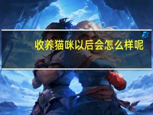 收养猫咪以后会怎么样呢