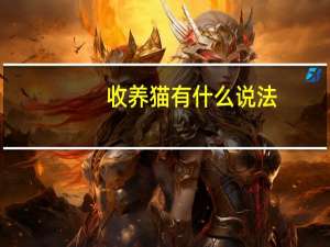 收养猫有什么说法