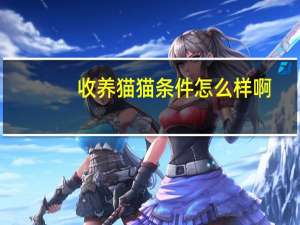 收养猫猫条件怎么样啊