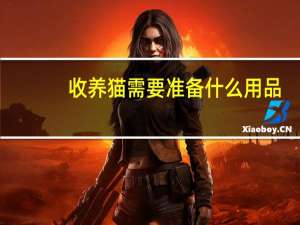 收养猫需要准备什么用品
