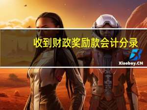 收到财政奖励款会计分录