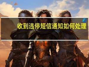 收到违停短信通知如何处理