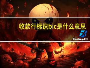收款行标识bic是什么意思