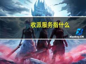 收派服务指什么