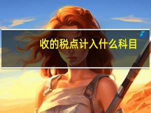 收的税点计入什么科目