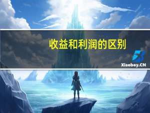 收益和利润的区别