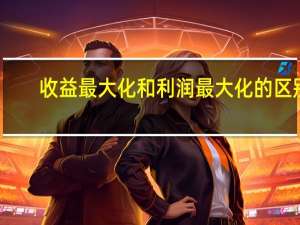 收益最大化和利润最大化的区别