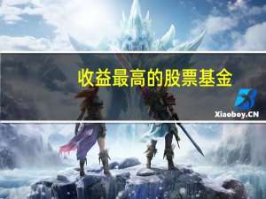收益最高的股票基金