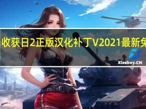 收获日2正版汉化补丁 V2021 最新免费版（收获日2正版汉化补丁 V2021 最新免费版功能简介）