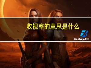 收视率的意思是什么