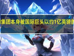 收购集团本身被国际巨头以约1亿英镑的价格收购