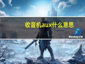 收音机aux什么意思