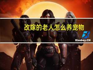 改嫁的老人怎么养宠物
