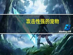 攻击性强的宠物