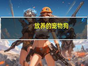 放养的宠物狗