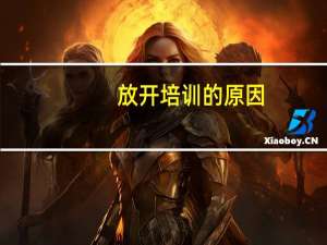 放开培训的原因