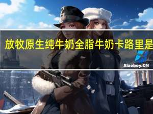 放牧原生 纯牛奶全脂牛奶卡路里是多少