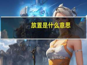 放置是什么意思