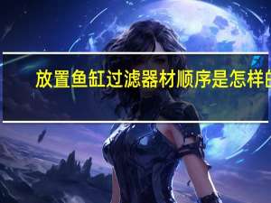 放置鱼缸过滤器材顺序是怎样的