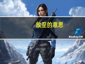 放至的意思