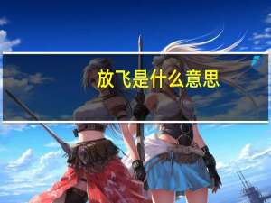 放飞是什么意思