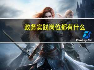 政务实践岗位都有什么