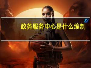 政务服务中心是什么编制