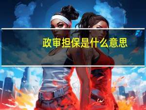 政审担保是什么意思