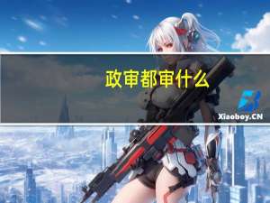政审都审什么