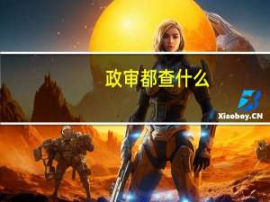 政审都查什么