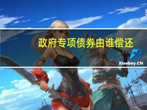 政府专项债券由谁偿还