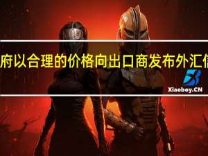 政府以合理的价格向出口商发布外汇信贷规范