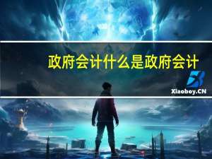 政府会计什么是政府会计
