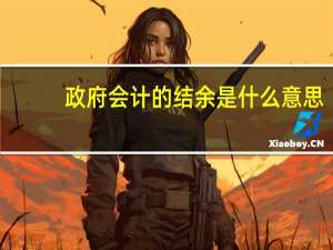 政府会计的结余是什么意思
