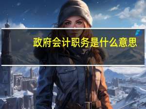 政府会计职务是什么意思