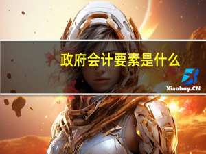 政府会计要素是什么