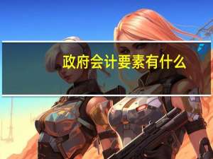 政府会计要素有什么