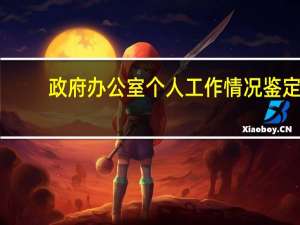 政府办公室个人工作情况鉴定（政府办公室个人工作总结）