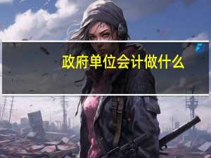 政府单位会计做什么