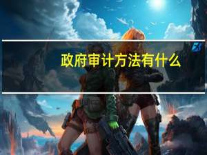 政府审计方法有什么