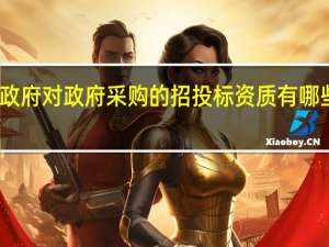 政府对政府采购的招投标资质有哪些要求