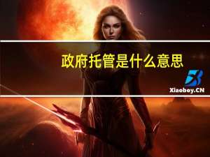 政府托管是什么意思