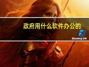 政府用什么软件办公的