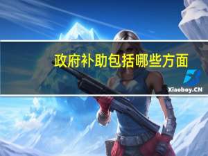 政府补助包括哪些方面