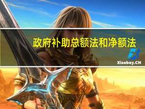 政府补助总额法和净额法