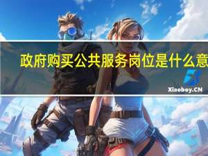 政府购买公共服务岗位是什么意思