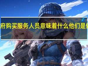 政府购买服务人员意味着什么他们是做什么的？